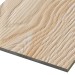 Фиброцементные панели FCSPRO Decor Wood Лиственница купить в Новосибирске