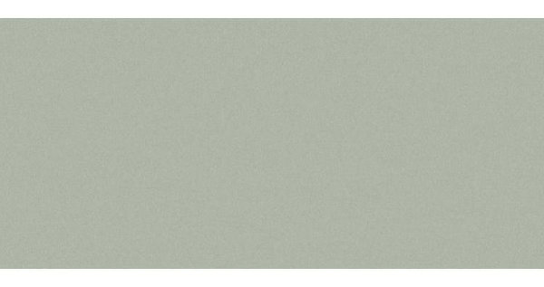 Сайдинг CEDRAL smooth (гладкий) С06 купить в Новосибирске